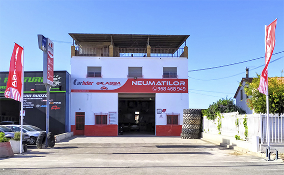 neumatilor