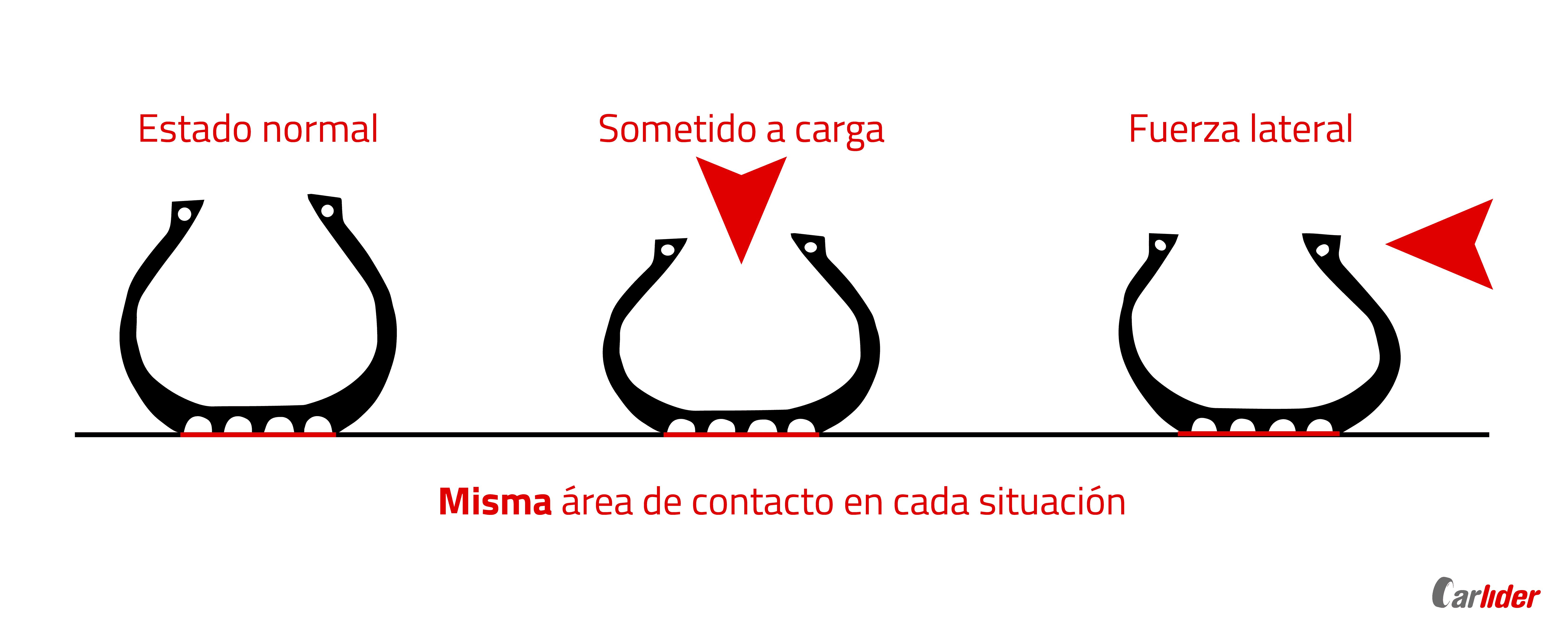 comportamiento-estructura-radial