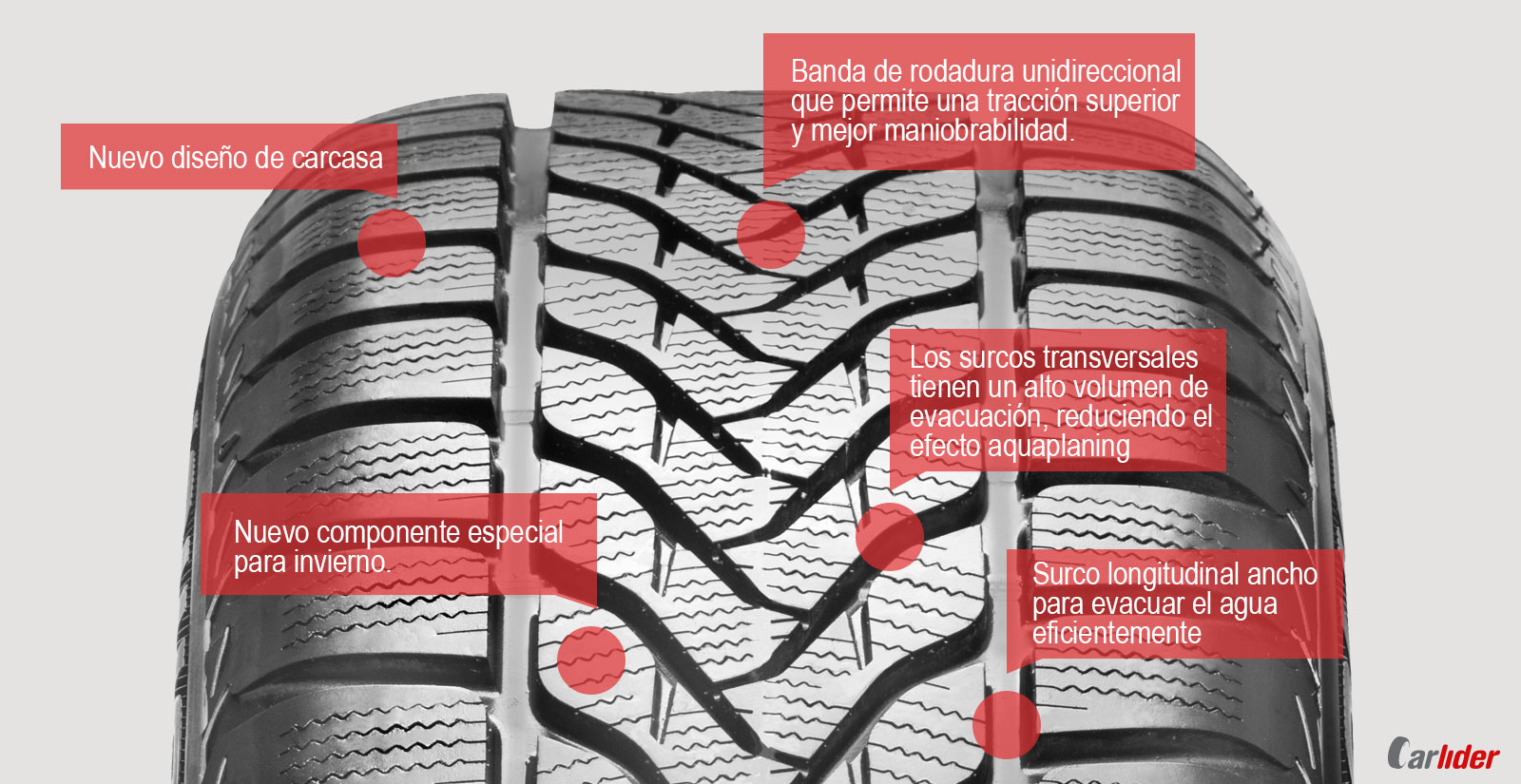 propiedades-lassa-snoways-3